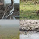 2023-10-25 - 2023-10-29<br/>
<b>Darwin, Litchfield, Kakadu and Nimiluk</b>
