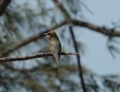 002.jpeg - 2023:10:25 04:52:30