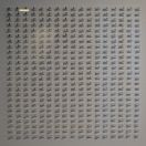 006.jpg - 2023:10:25 05:22:27