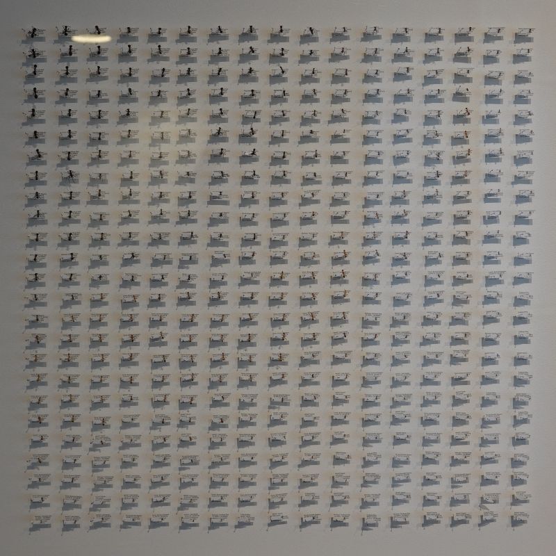 Viewing photos→2023→2023-10-25→006