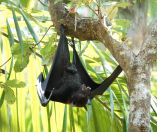 013.jpeg - 2023:10:26 03:15:12