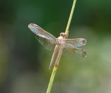 016.jpeg - 2023:10:26 03:33:33