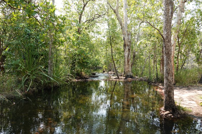 Viewing photos→2023→2023-10-25→026