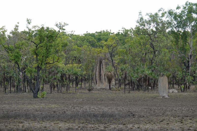 Viewing photos→2023→2023-10-25→031