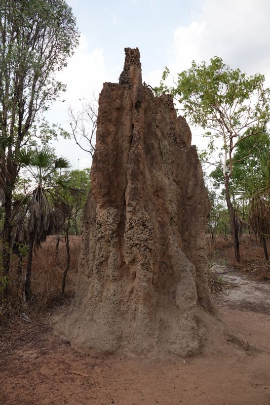 Viewing photos→2023→2023-10-25→032