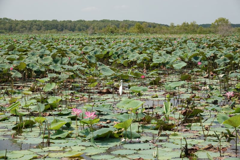 Viewing photos→2023→2023-10-25→043