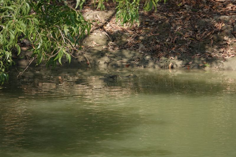 Viewing photos→2023→2023-10-25→071