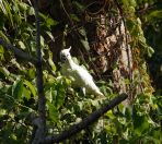 072.jpeg - 2023:10:27 05:54:12