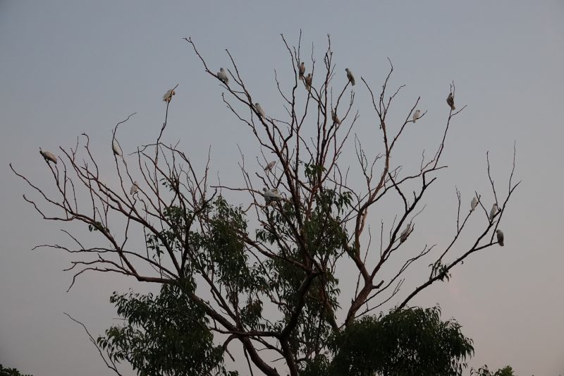 Viewing photos→2023→2023-10-25→076