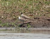 082.jpeg - 2023:10:28 02:04:17