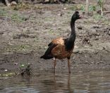 085.jpeg - 2023:10:28 02:08:43