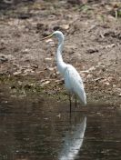 087.jpeg - 2023:10:28 02:10:16