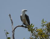 088.jpeg - 2023:10:28 02:10:56