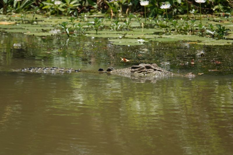 Viewing photos→2023→2023-10-25→103