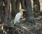 104.jpeg - 2023:10:28 02:37:02