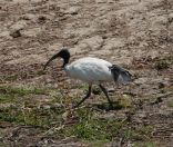 106.jpeg - 2023:10:28 02:40:26