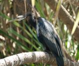 109.jpeg - 2023:10:28 02:47:05