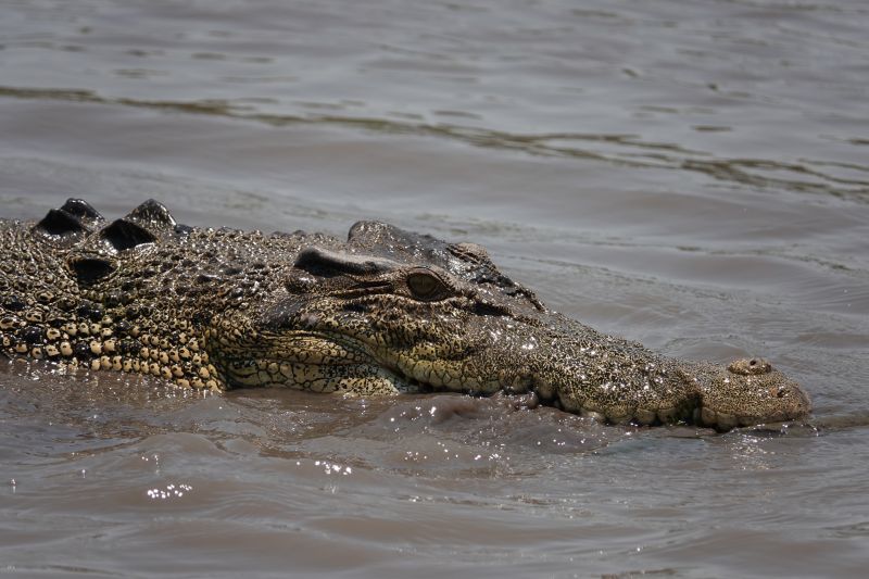 Viewing photos→2023→2023-10-25→118