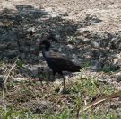 123.jpeg - 2023:10:28 03:16:05