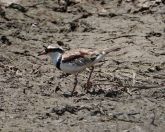 125.jpeg - 2023:10:28 03:25:42