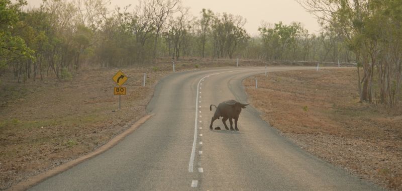 Viewing photos→2023→2023-10-25→137