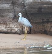 148.jpeg - 2023:10:29 00:38:53