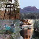 2023-10-31 - 2023-11-03<br/>
<b>Uluru, Kata Tjuta and King’s Canyon</b>
