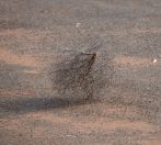 004.jpeg - 2023:10:30 23:03:55