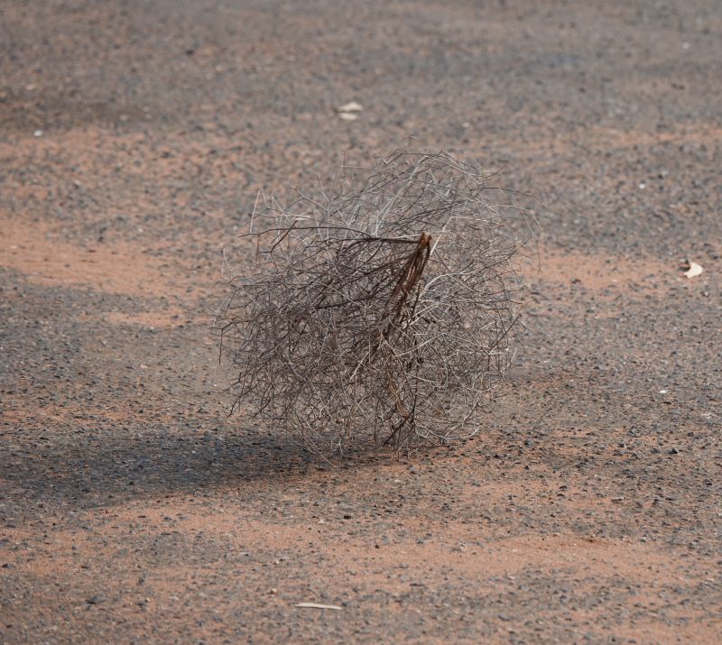 Viewing photos→2023→2023-10-31→004