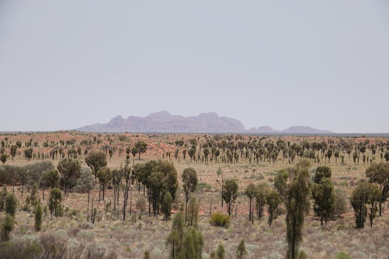 Viewing photos→2023→2023-10-31→013