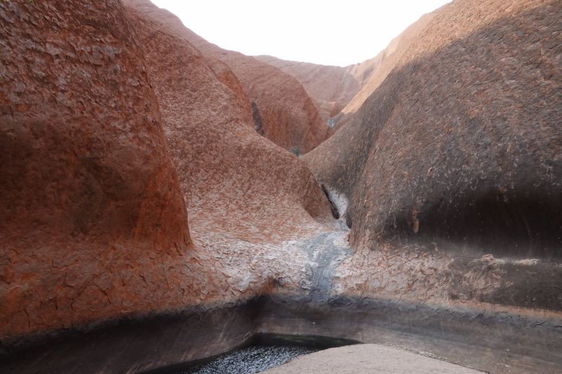 Viewing photos→2023→2023-10-31→027