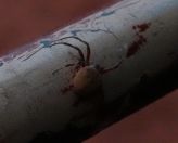 037.jpeg - 2023:10:31 20:20:32