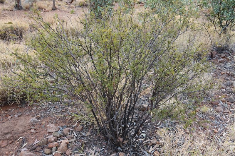 Viewing photos→2023→2023-10-31→047