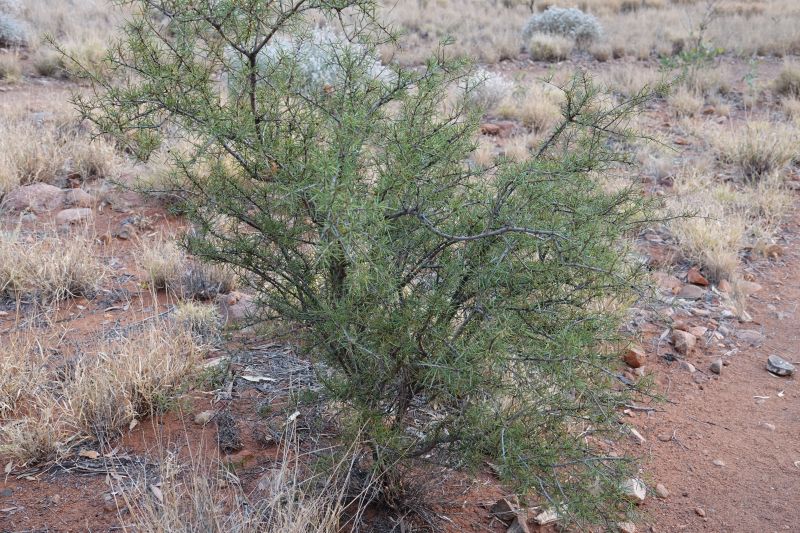 Viewing photos→2023→2023-10-31→049