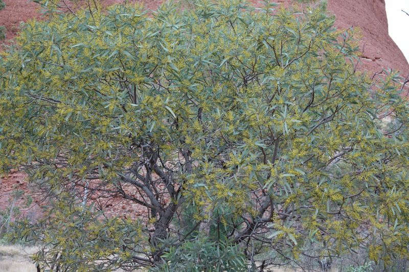 Viewing photos→2023→2023-10-31→051