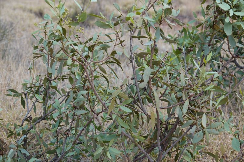 Viewing photos→2023→2023-10-31→056