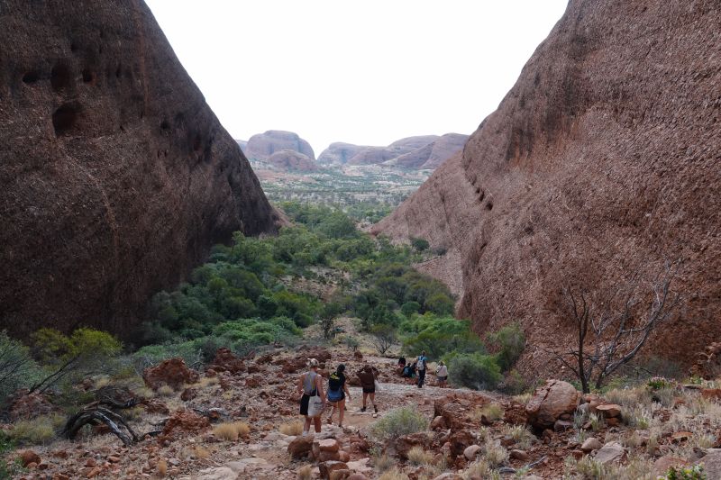 Viewing photos→2023→2023-10-31→061