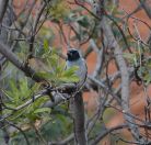 063.jpeg - 2023:10:31 22:50:45