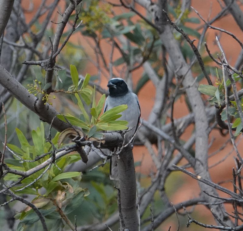 Viewing photos→2023→2023-10-31→063