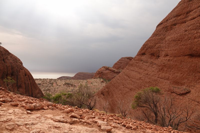 Viewing photos→2023→2023-10-31→076