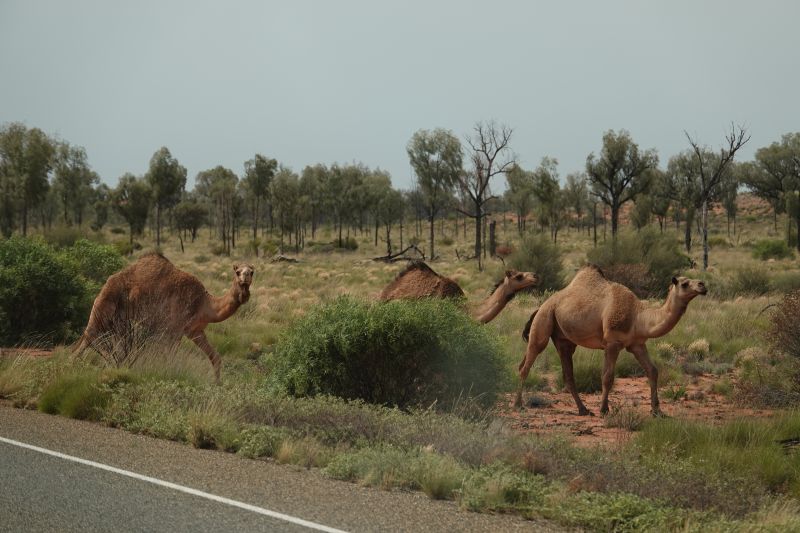 Viewing photos→2023→2023-10-31→077