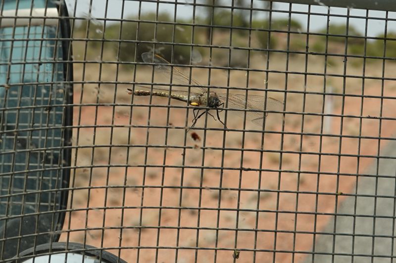 Viewing photos→2023→2023-10-31→082