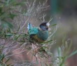 092.jpeg - 2023:11:01 08:20:35