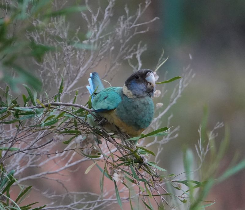 Viewing photos→2023→2023-10-31→092