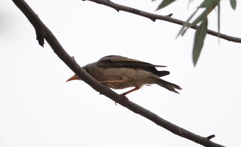 Viewing photos→2023→2023-10-31→093