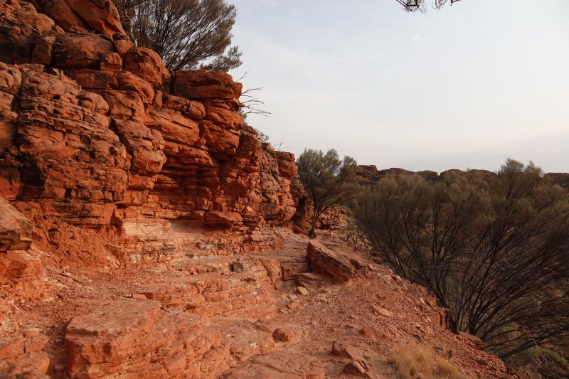 Viewing photos→2023→2023-10-31→106