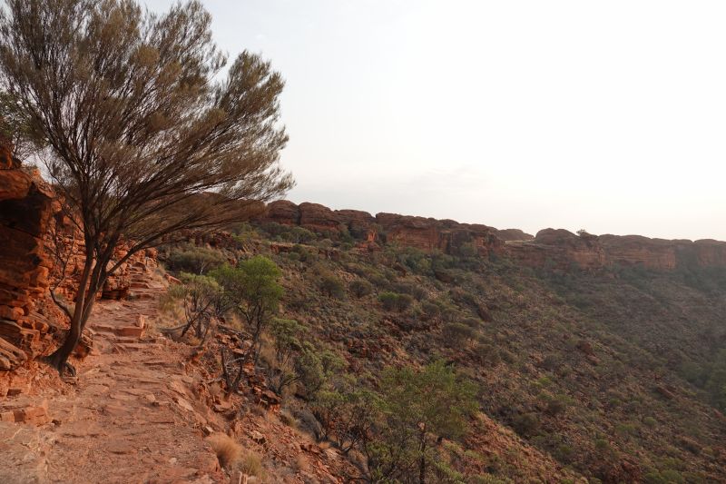 Viewing photos→2023→2023-10-31→108