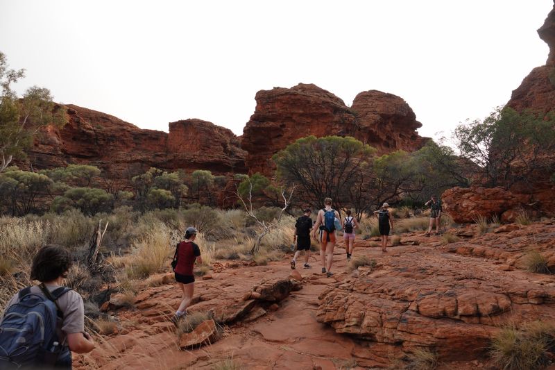 Viewing photos→2023→2023-10-31→111