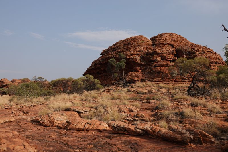 Viewing photos→2023→2023-10-31→125