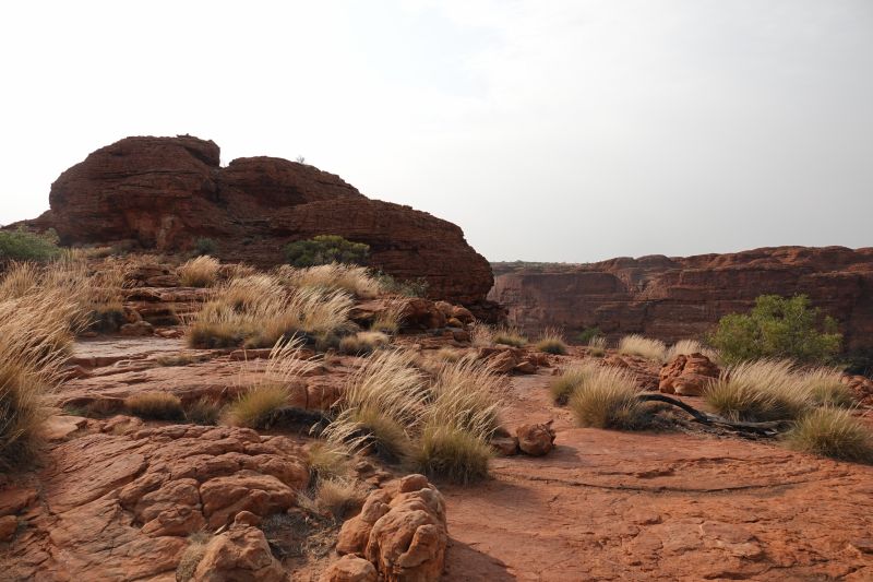 Viewing photos→2023→2023-10-31→126